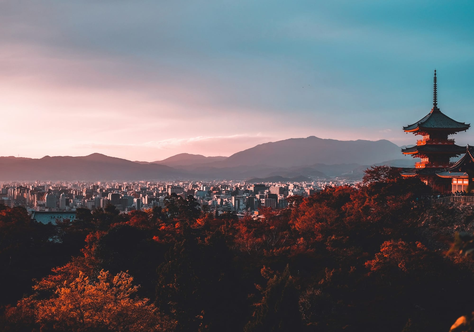 Private tours in Japan