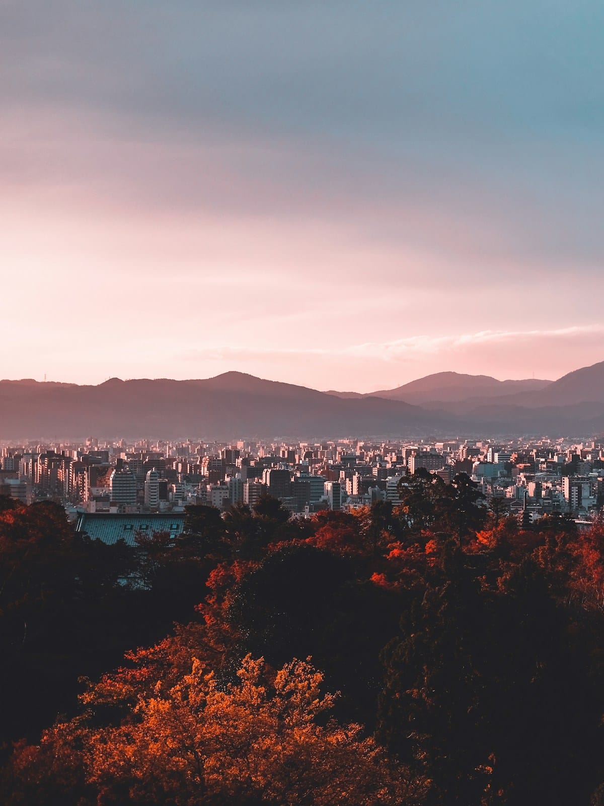 Epic Japan — Private Package 14-day tour: The complete Japan circuit — Tokyo to Fukuoka, covering every region in fourteen days.