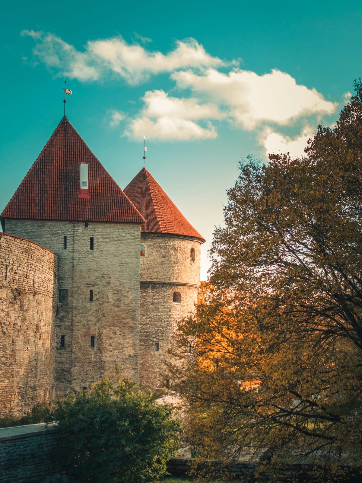 Estonia — Islands & Old Towns — 7 Days — Private Package 7-day tour: Tallinn's spires, Saaremaa's windmills, and bog walks at dawn.