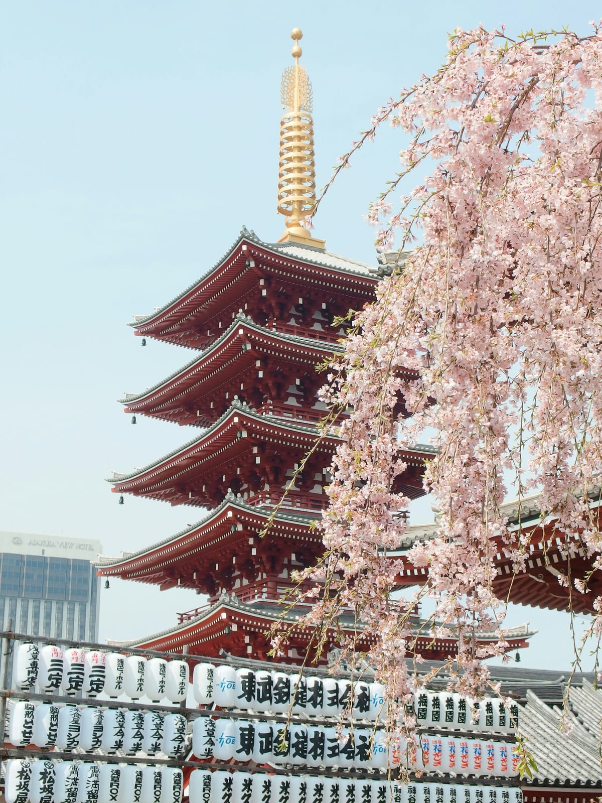 Japan: Cherry Blossom Season — Private Package 10-day tour: Timed to the annual sakura forecast — Yoshino’s 30,000 trees and Tokyo’s great blossom parks.