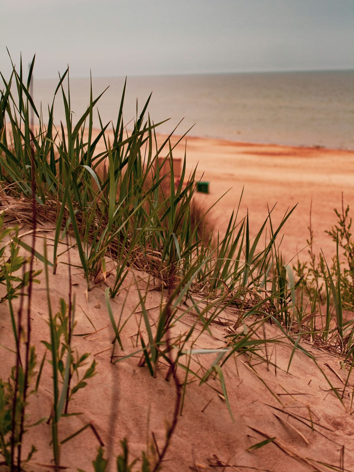 Lithuania — Coast & Culture — 7 Days — Private Package 7-day tour: From baroque churches to Baltic amber beaches.