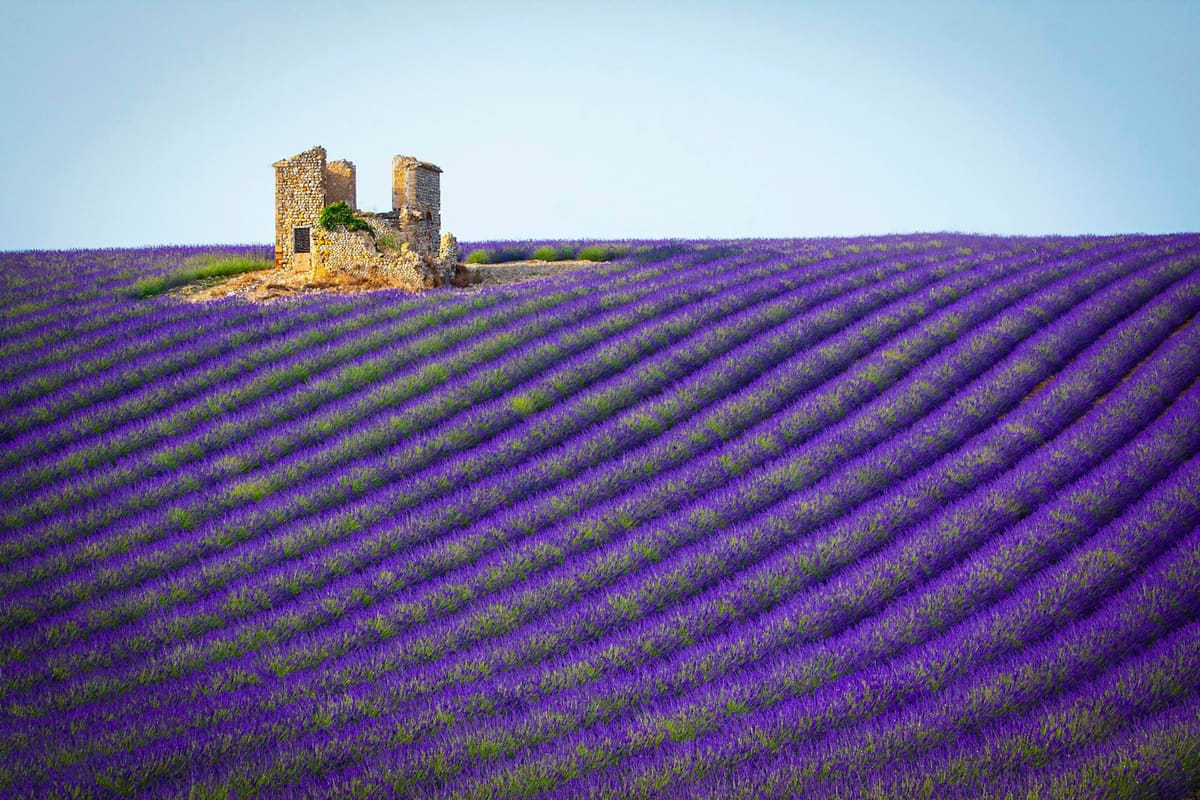 Provence & the Côte d'Azur — Private Package 8-day tour: Lavender, rosé & the sun-drenched south of France